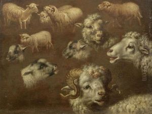 Studies Of Sheep by Francesco Londonio