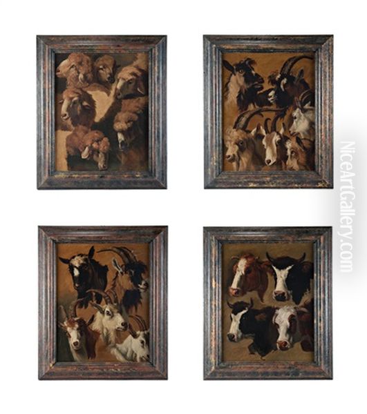 Studio Di Mucche, Pecore E Capre (4 Works) - view 1