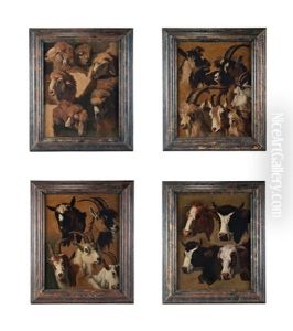 Studio Di Mucche, Pecore E Capre (4 Works)