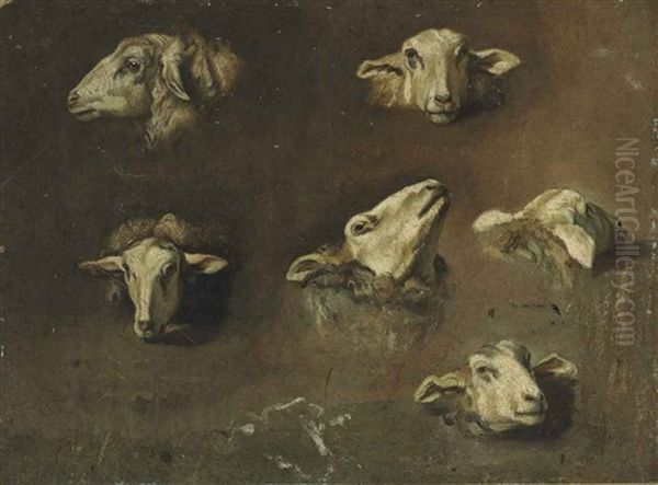 Six Studies Of Sheep Heads - view 1