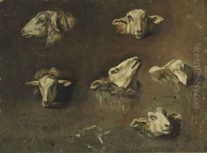 Six Studies Of Sheep Heads