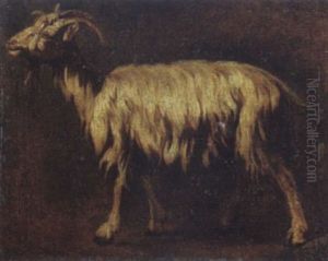 Capretta Capretta