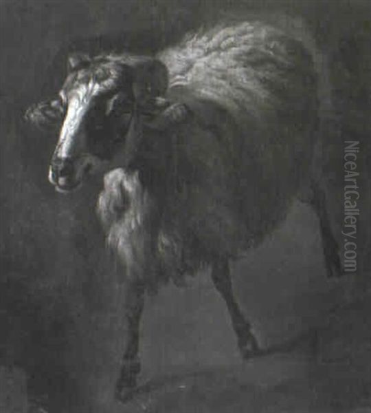 Ram - view 1