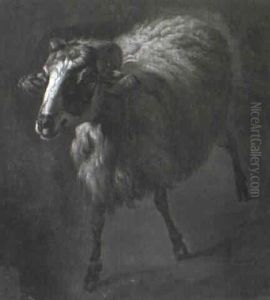 Ram by Francesco Londonio