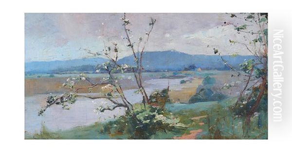 Narara Creek - view 1