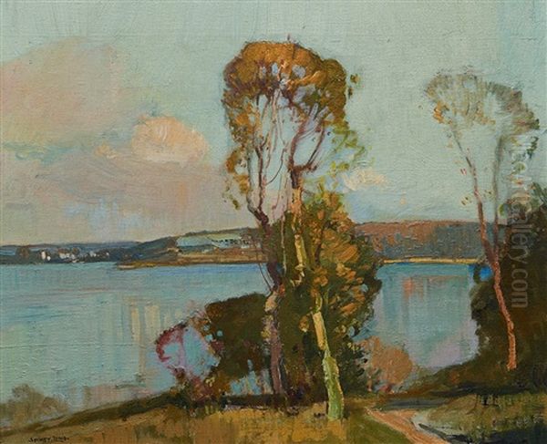 Narrabeen Lakes - view 1