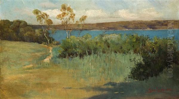 Landscape - view 1