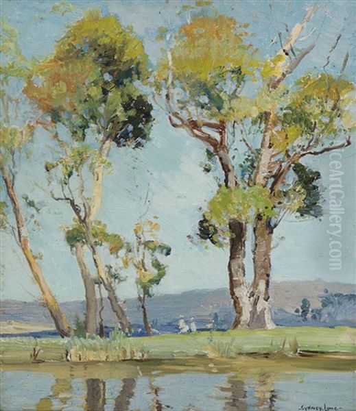 South Creek, Narrabeen - view 1
