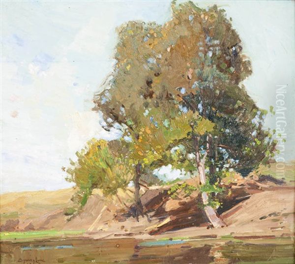 The River Bank - view 1
