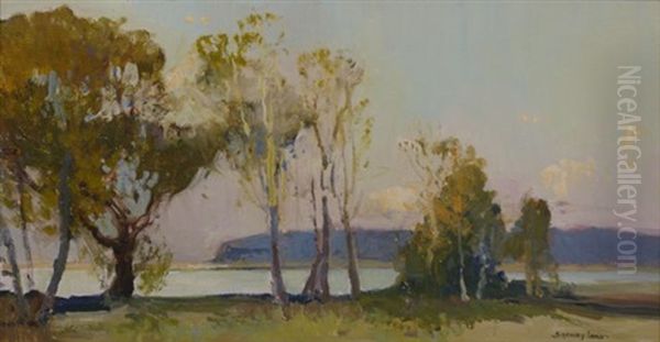 Australian Landscape - view 1