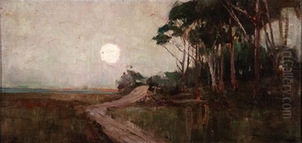 Moonlit Nocturne - view 1