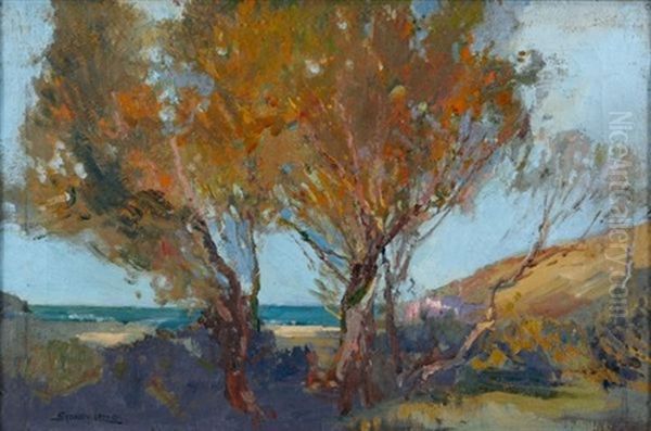 Coastal Study Seascape - view 1