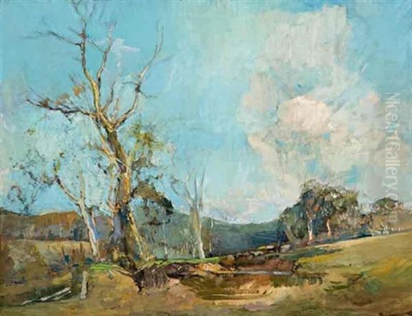 Australian Pastoral - view 1