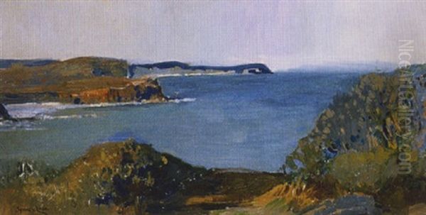 Coastal Headlands, Nsw - view 1