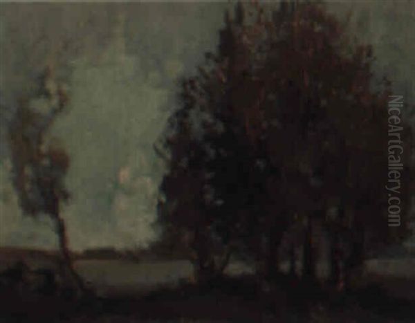 Late Afternoon - view 1