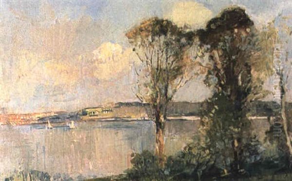 Looking Across The Harbour From The Gladesville Bridge - view 1