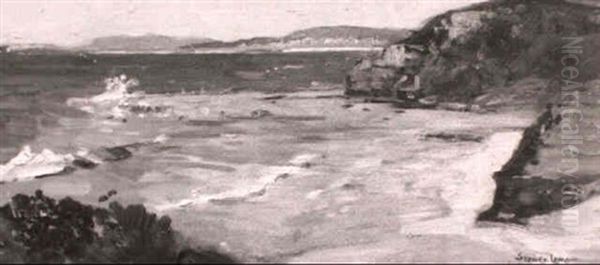 Incoming Tide, North Shore Sydney - view 1