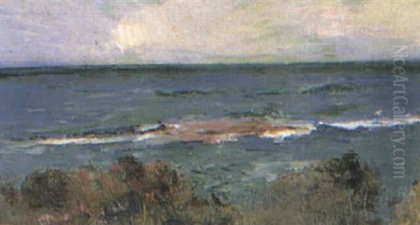 Coastal Scene - view 1