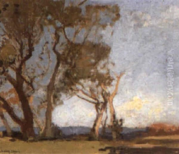 Landscape With Gums - view 1