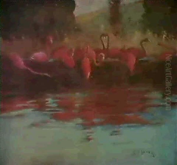 Flamingoes - view 1