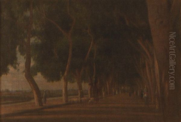 Lebbek Avenue, Cairo - view 1