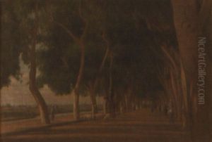 Lebbek Avenue, Cairo