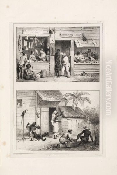 Voyage A Surinam. - view 1