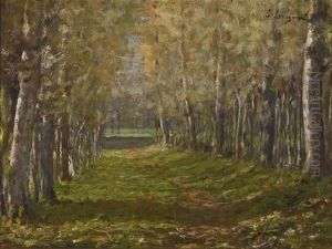 A Forest Path A Forest Path