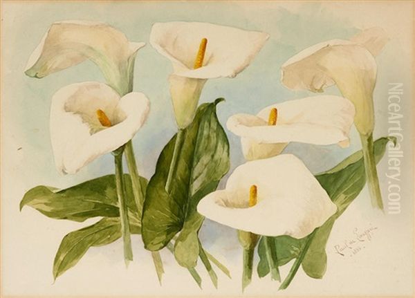Calla Lilies Sheet - view 1