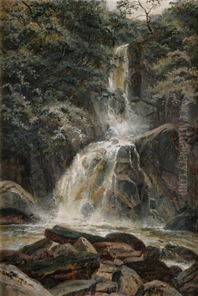 A Waterfall In A Tree-lined Gorge - view 1