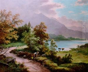 View Near Barmouth