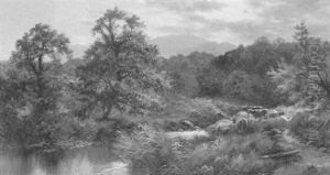 On The Llugwy, North Wales
