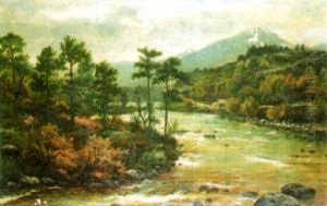 Highland River Scene