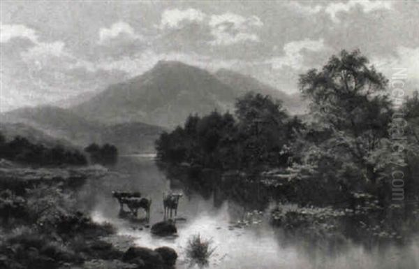 Highland Cattle In A River Landscape - view 1