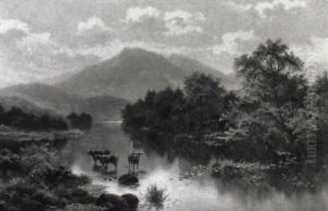 Highland Cattle In A River Landscape