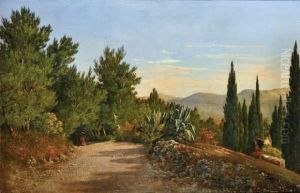La Promenade Dans Les Collines Au-dessus De Nice
