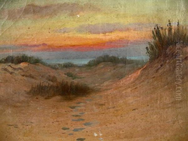 Dunes And Ocean - view 1