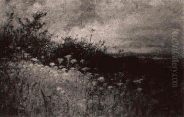 Wildflowers Near The Coast - view 1