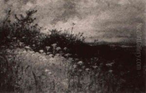 Wildflowers Near The Coast