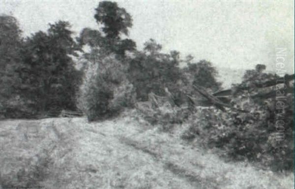 Path In The Country - view 1