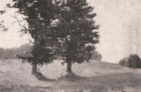 Figure In A Pasture - view 1