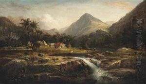 Coffee Plantation In The Mountains Of Cuba