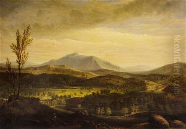 Landscape - view 1