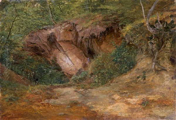 Waldlandschaft Mit Felshang - view 1
