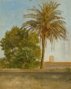 Die Palme Bei San Francesco A Ripa Grande