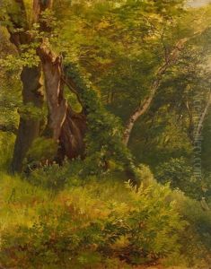 Waldinneres