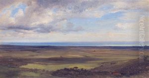 Flache Uferlandschaft Mit Blick Aufs Meer