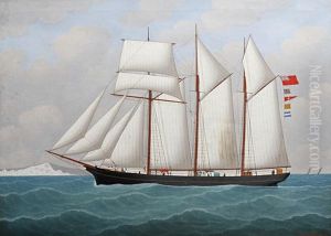 The Sara Lightfoot Off The Coast The Sara Lightfoot Off The Coast