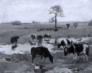 Kuhe Auf Der Weide