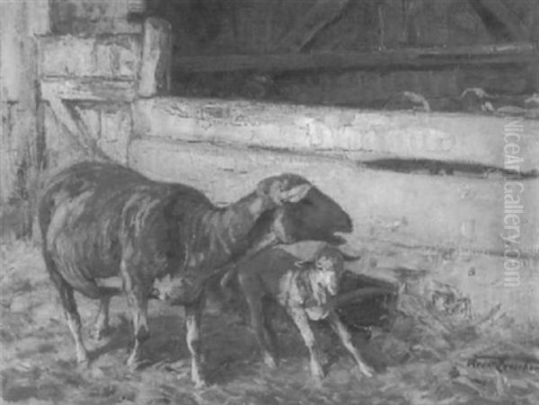 Schaf Mit Lamm Im Stall Beim Trog - view 1